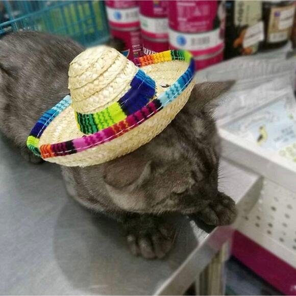 Dog & Cat Straw Sombrero Hat, Lightweight, Multi-Use Pet Apparel - Picture 4 of 5